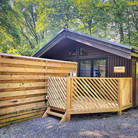 The Squirrel Lodge - Hot Tub - Pet Friendly - Pembrokeshire-Tenby Carmarthen Exteriér fotografie